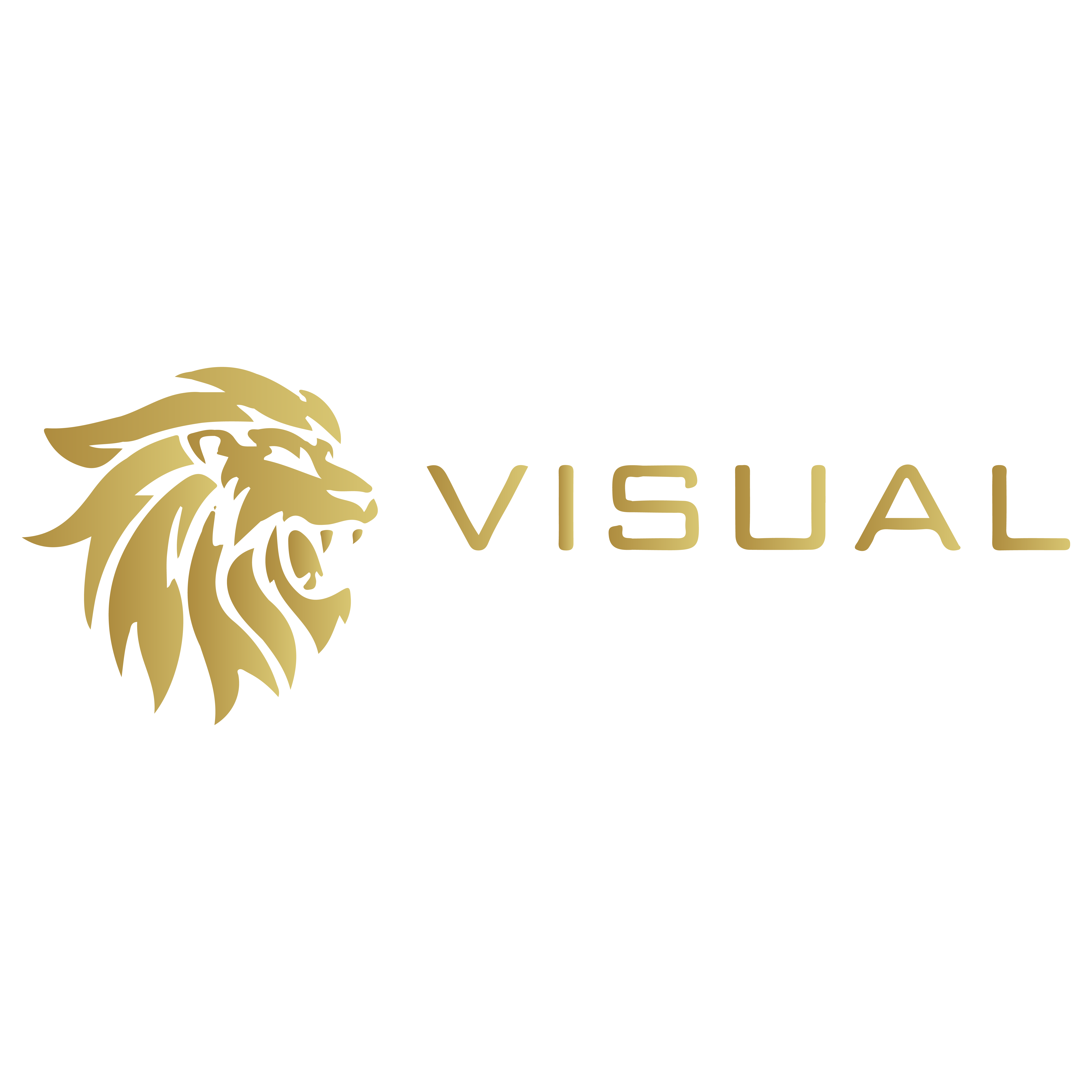 Visual Web Group